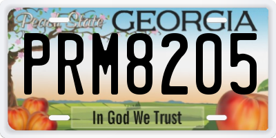GA license plate PRM8205