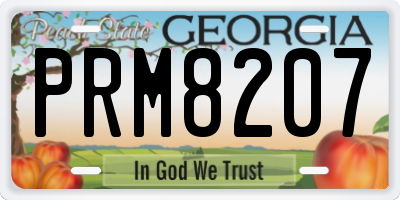 GA license plate PRM8207