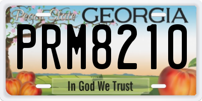 GA license plate PRM8210
