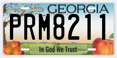 GA license plate PRM8211