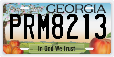GA license plate PRM8213