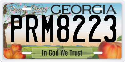 GA license plate PRM8223