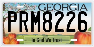 GA license plate PRM8226