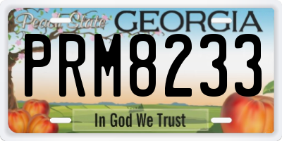 GA license plate PRM8233