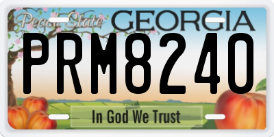 GA license plate PRM8240