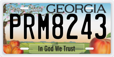 GA license plate PRM8243