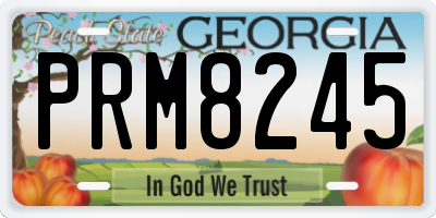 GA license plate PRM8245