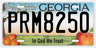 GA license plate PRM8250