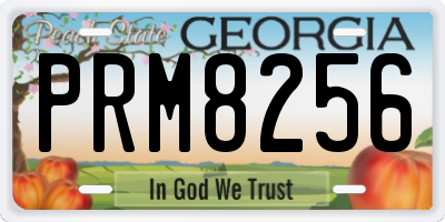 GA license plate PRM8256