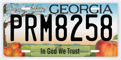 GA license plate PRM8258