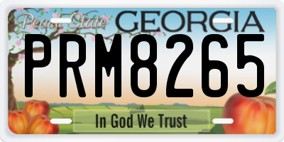 GA license plate PRM8265