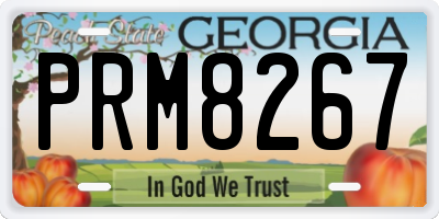 GA license plate PRM8267