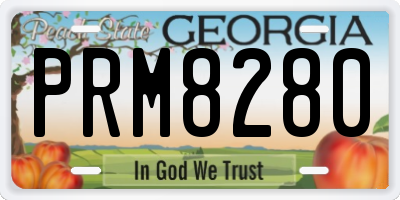 GA license plate PRM8280