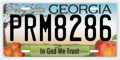 GA license plate PRM8286