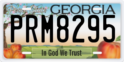 GA license plate PRM8295