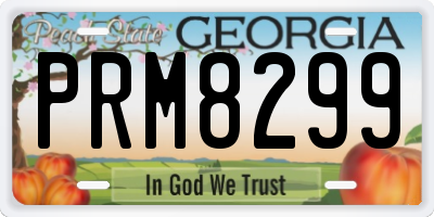 GA license plate PRM8299