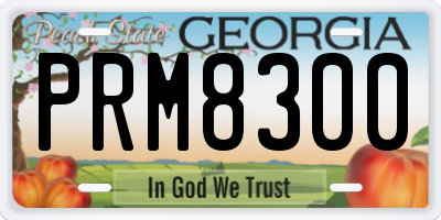 GA license plate PRM8300