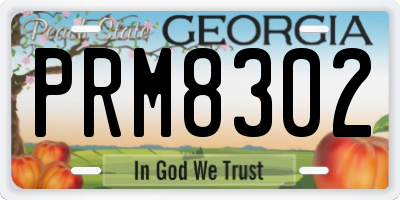GA license plate PRM8302