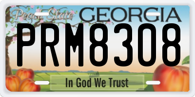 GA license plate PRM8308