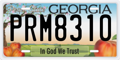 GA license plate PRM8310