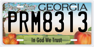 GA license plate PRM8313