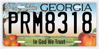 GA license plate PRM8318