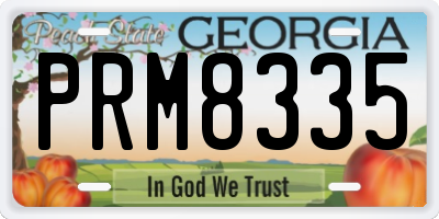 GA license plate PRM8335