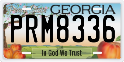 GA license plate PRM8336