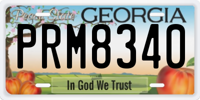 GA license plate PRM8340