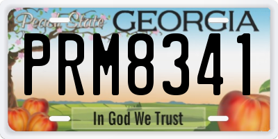 GA license plate PRM8341