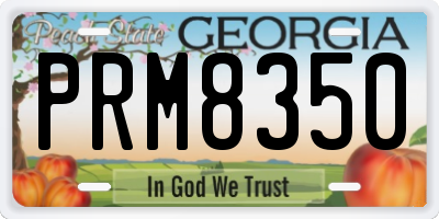 GA license plate PRM8350