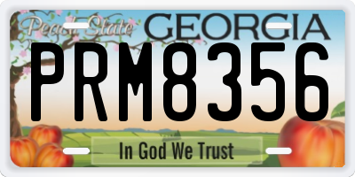 GA license plate PRM8356