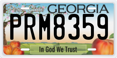GA license plate PRM8359