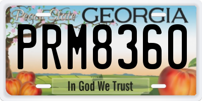 GA license plate PRM8360