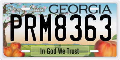 GA license plate PRM8363
