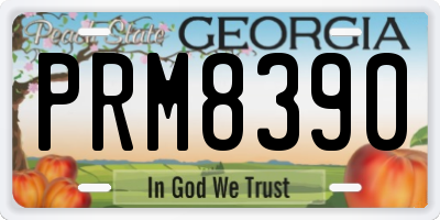 GA license plate PRM8390