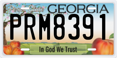GA license plate PRM8391