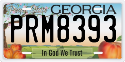 GA license plate PRM8393