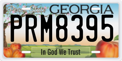 GA license plate PRM8395