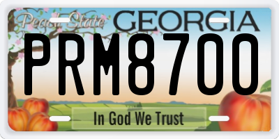 GA license plate PRM8700