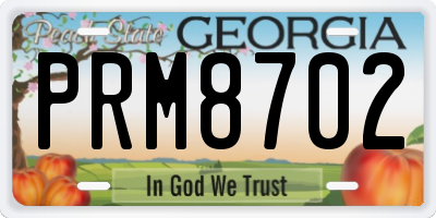 GA license plate PRM8702