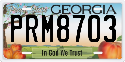 GA license plate PRM8703