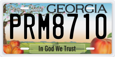GA license plate PRM8710