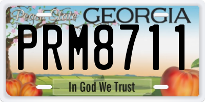 GA license plate PRM8711
