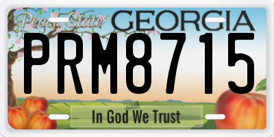 GA license plate PRM8715