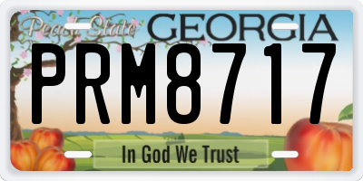 GA license plate PRM8717