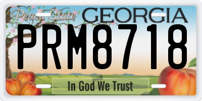 GA license plate PRM8718