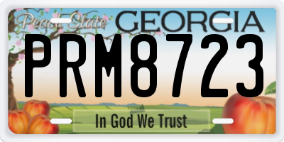 GA license plate PRM8723