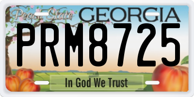 GA license plate PRM8725