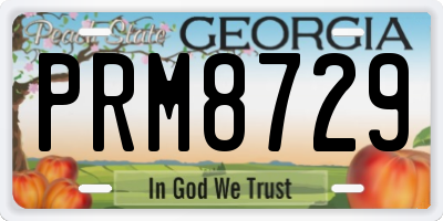 GA license plate PRM8729